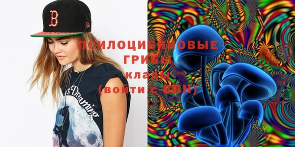 прущие крисы Балахна