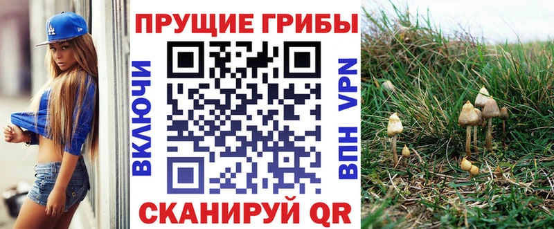 как найти   даркнет наркотические препараты  Галлюциногенные грибы Magic Shrooms  Балабаново 