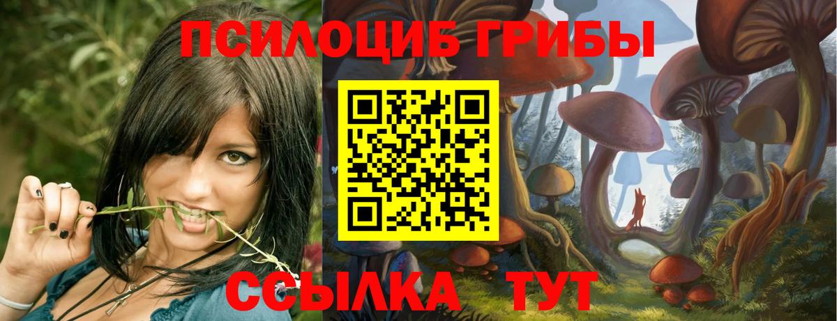 Псилоцибиновые грибы мицелий Балабаново