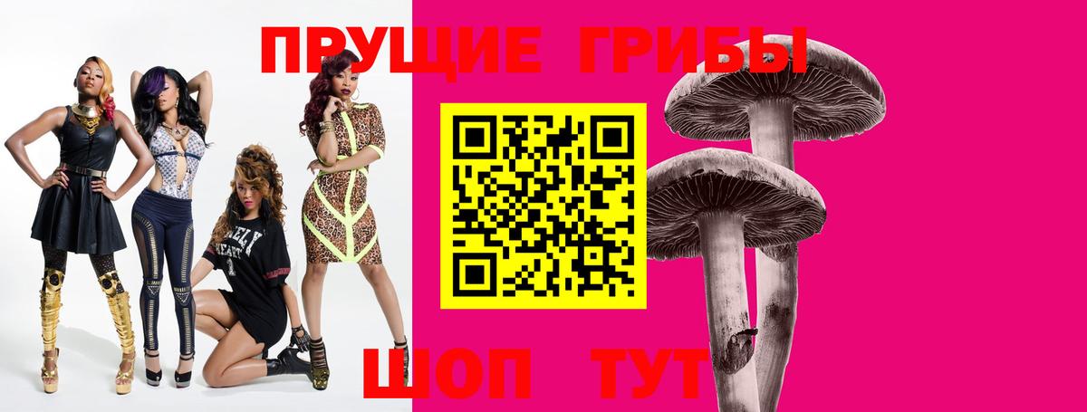 Псилоцибиновые грибы GOLDEN TEACHER  Псилоцибиновые грибы Psilocybine cubensis  Балабаново 